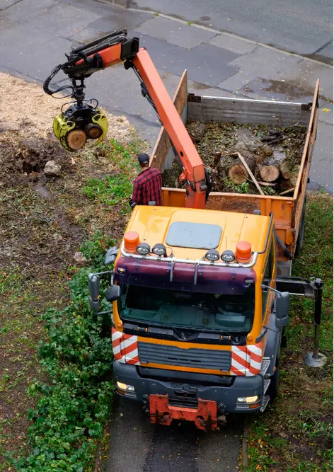 A tree removal truck with a crane lifting logs into the back.